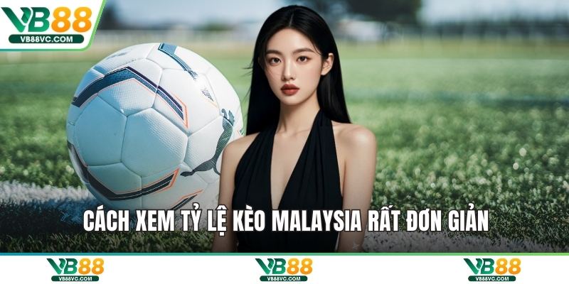 Cách xem tỷ lệ kèo Malaysia rất đơn giản