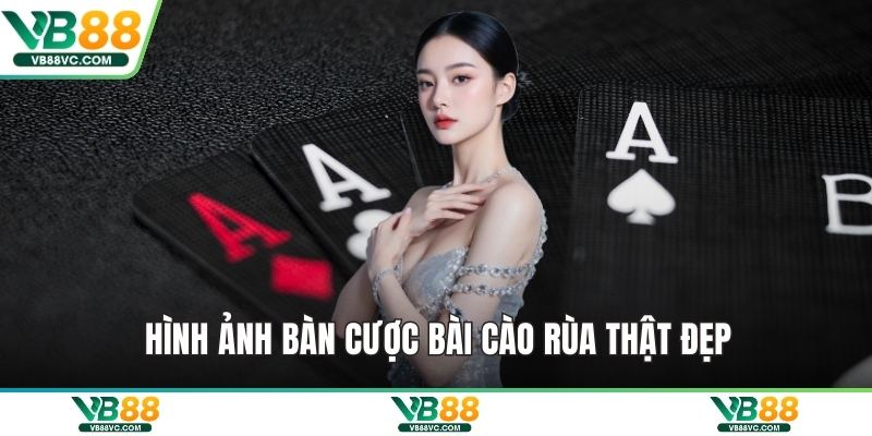 Hình ảnh bàn cược bài cào rùa thật đẹp