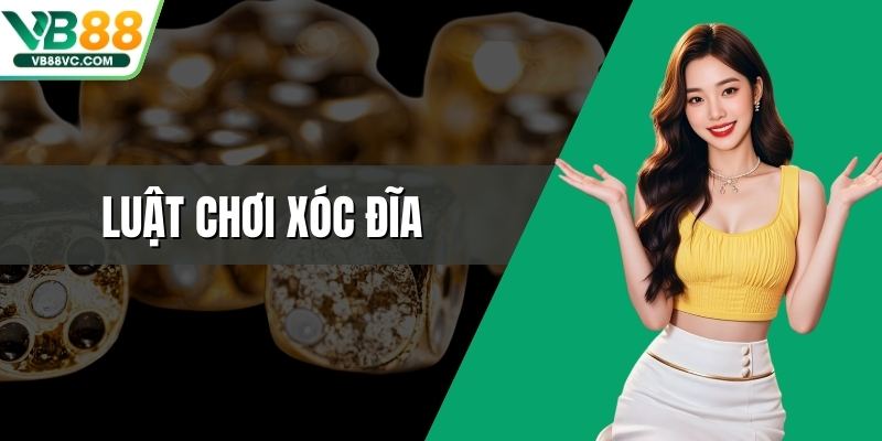 Luật Chơi Xóc Đĩa - Chỉ Dẫn Cơ Bản Dễ Hiểu Cho Hội Viên